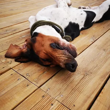 Le Village De Florine Coëx