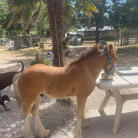 Le Village De Florine