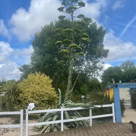 Kemping Le Village De Florine