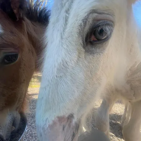 Le Village De Florine Kemping 3*