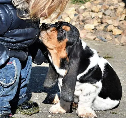 Kemp Le Village De Florine Coëx
