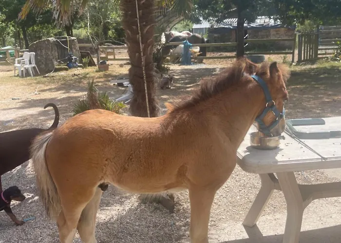 Le Village De Florine