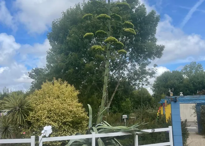 Kemping Le Village De Florine