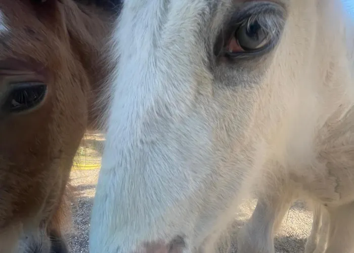 Le Village De Florine Kemp 3*